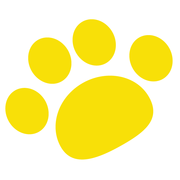 cute dog and footprint seamless pattern GE973RTq