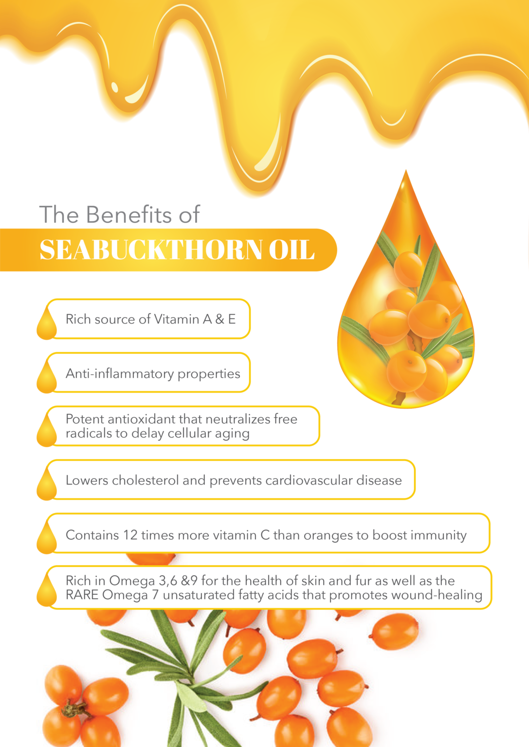 Multioils by vetlab for dogs and cat